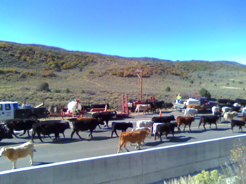 traffic control