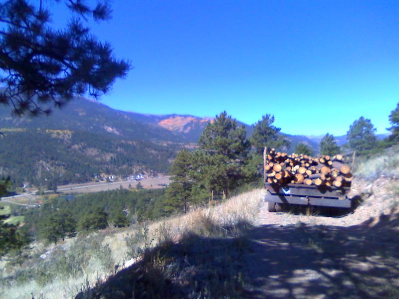 wood wood