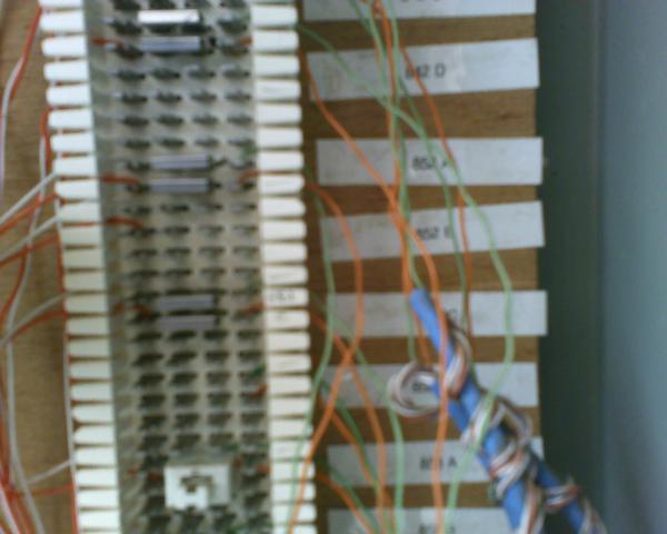 Member Uploaded Image