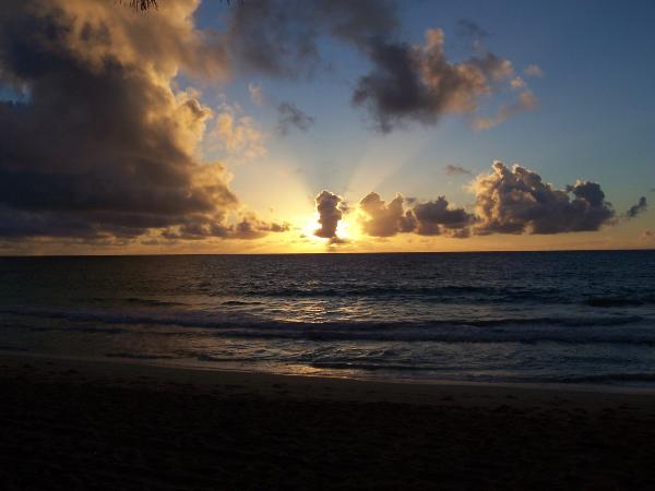 Member Uploaded Image