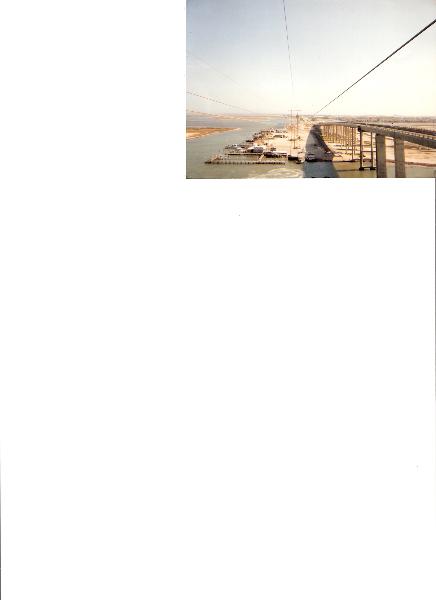 Member Uploaded Image